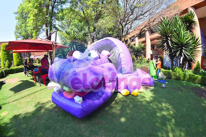 renta-alberca-de-pelotas-cdmx