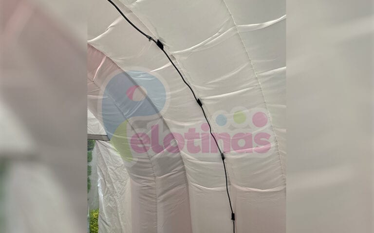 Venta Tunel Sanitizante